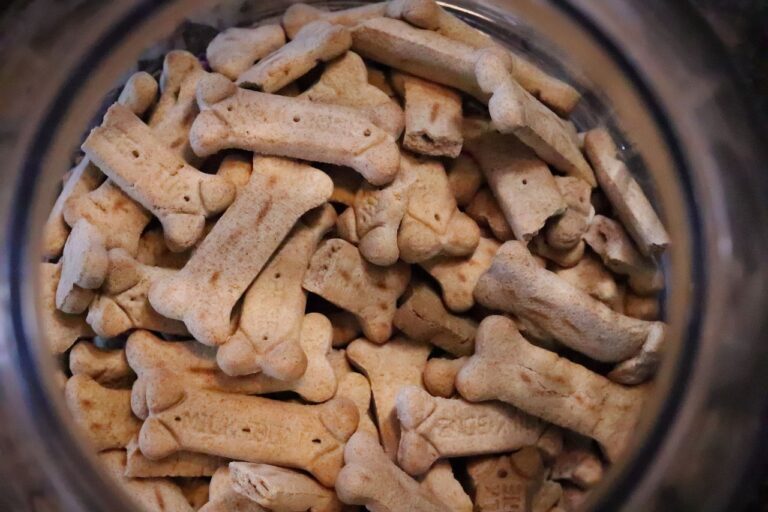 Dog Food