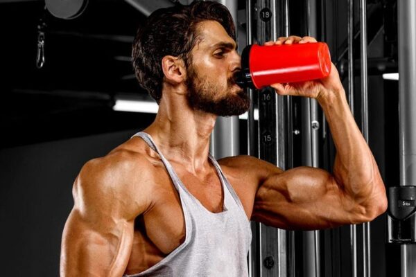 Role Of Creatine In The Life Of Fitness Enthusiasts