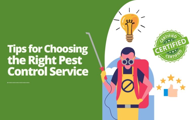 Pest Prevention Tips for New Homeowners in Richmond Hill