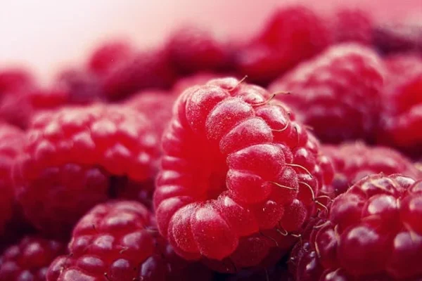 Unlocking the Health Benefits of Raspberry Extract in 2024