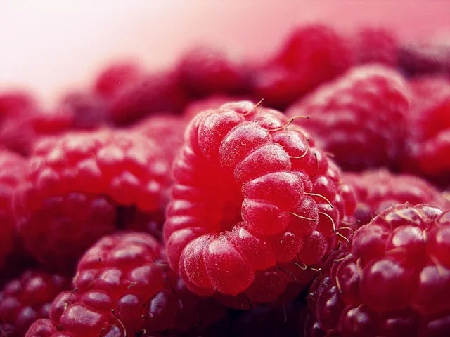 Unlocking the Health Benefits of Raspberry Extract in 2024